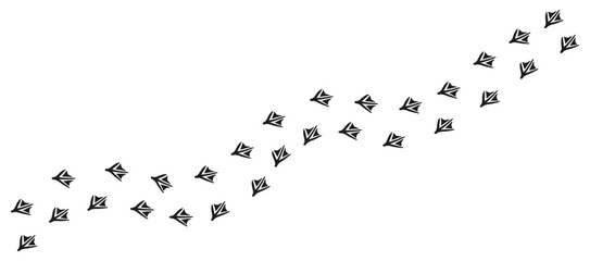 Path of duck, goose, swan footprints. Tracks of paw prints of seagull, cormorant, pelican, flamingo, albatross. Silhouette. Trail of webbed-footed birds. Black Vector isolated on white. Print, game. © Jafree