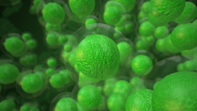 Embryonic stem cells medical concept