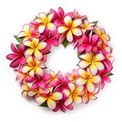 Circle of Plumeria flowers in pink and yellow hues, isolated on white background