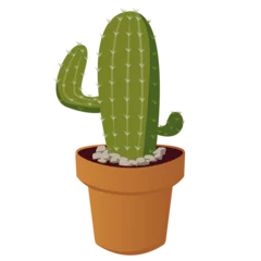 Glasschilderij Cactus in pot Cactus