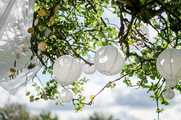 viele weiße Lampions, Papierlaternen, Glitzerkette und weißes Tuch dekorativ, festlich hängen im Apfelbaum. Für Festival, Party, Hochzeit