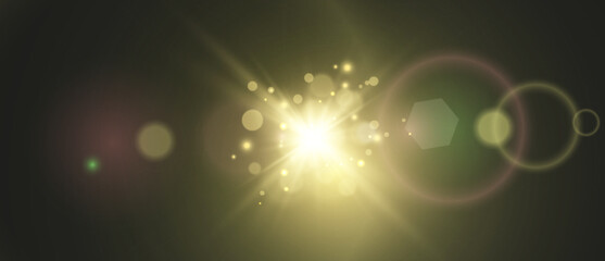 	
Vector transparent sunlight special lens flare light effect. Bright beautiful star. Light from the rays.	
