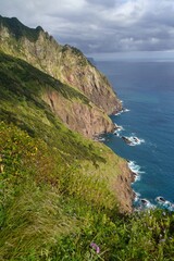 View of the cliffs from Vereda do Larano, Machico, Madeira island, Portugal, Europe. 