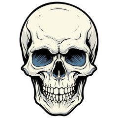 Human skull vector illustration. Halloween symbol of death, skeleton head, day of the dead.