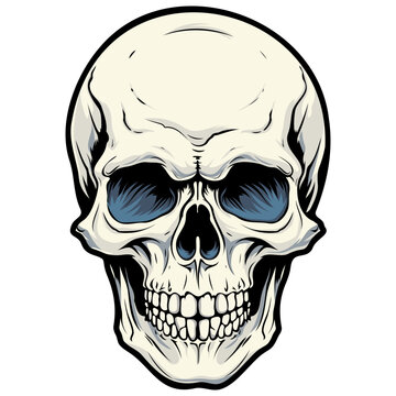 recommend clip art: Human skull vector illustration. Halloween symbol of death, skeleton head, day of the dead.