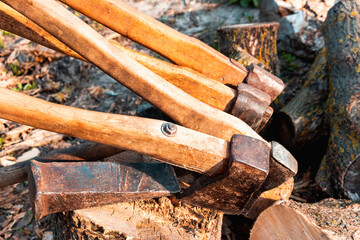 Axes with wooden handles are placed on a wooden log. The hatchets. Harvesting firewood in the...