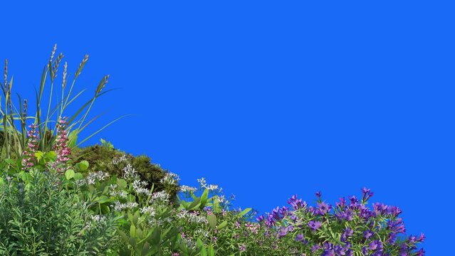 3D render Foreground flower swaying on blue background