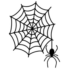 Obraz premium Spider Web