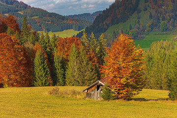 Herbst - Oberjoch - Allgäu - Stadel - bunt - herbstlich 