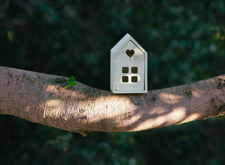 Little wooden house on tree branch. The unvarnished, raw wood of the house stands out in stark contrast against the lush, blurred green background. Selective focus. 