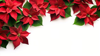 Poinsettia Plants with space for copy in a Holiday-themed image as a JPG. Generative ai