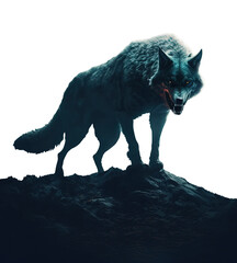 werewolf transparent background. lycanthrope on a cliff. wolf howling at the moon. Black evil looking werewolf. dark fur.
