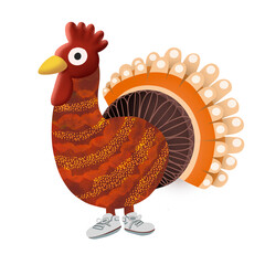 turkey  bird thanksgiving cartoon character
