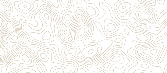 abstract White wave paper curved reliefs background .Panorama view gradient multicolor wave curve lines banner background design. Vector illustration. wave Line topography map contour background.