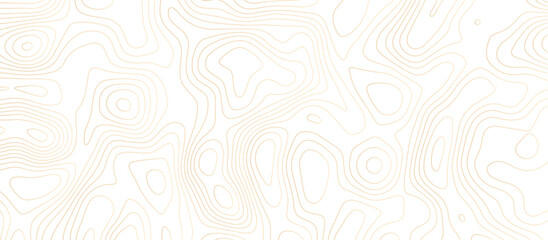 abstract White wave paper curved reliefs background .Panorama view gradient multicolor wave curve lines banner background design. Vector illustration. wave Line topography map contour background.