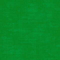 Fototapeta premium green texture