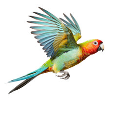 Obraz premium Edward's Fig Parrot in-flight in a Nature-themed, side view, photorealistic illustration in a transparent PNG, cutout, and isolated. Generative ai