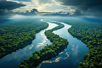 Fotobehang Bosrivier Aerial view of the Amazon river and the tropical rain forest