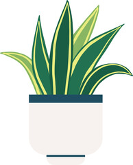 houseplant drawing illustration