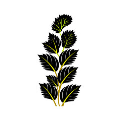 Vector illustration of a cartoon plant on a white background