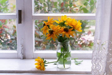 Rudbeckia Amarillo gold. Bouquet of rudbeckia hirta on window sill. - obrazy, fototapety, plakaty