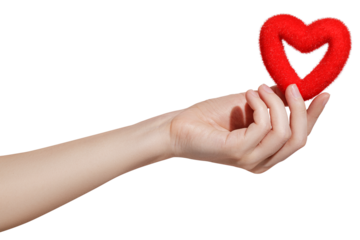 Red soft heart in young womans hands on transparent background. Love and happiness concept. Donation concepts