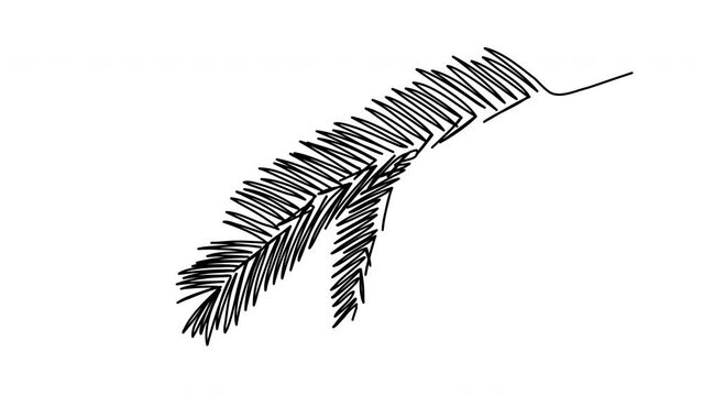 Fir tree branch one line drawing animation.