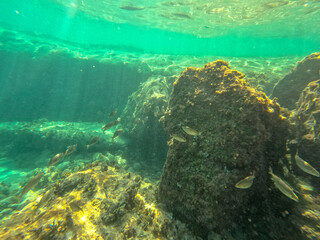 Fototapeta na wymiar Underwater snorkeling in Moraira Alicante province Spain