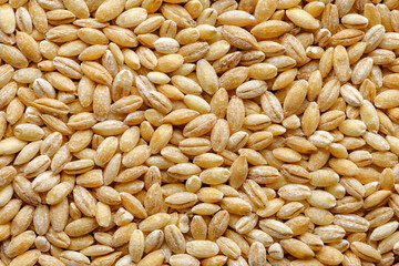 Pearl barley raw, in bulk, close-up,  background