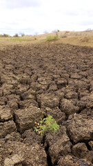 curaca, bahia, brazil - september 17, 2023: view of cracked earth in a dry dam due to drought in the backlands of Bahia