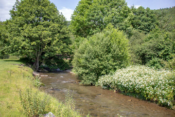 Summertime river in the UK.