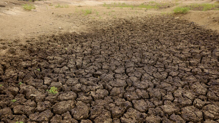 curaca, bahia, brazil - september 17, 2023: view of cracked earth in a dry dam due to drought in...