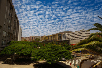 paisaje urbano de la ciudad arboles verdes cielo nublado