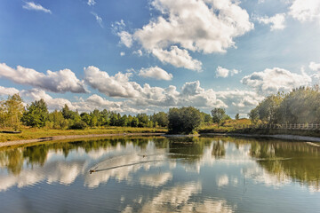 Fototapeta na wymiar Two ducks swim in a park pond on a sunny day