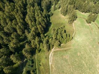 Vue aérienne sur un paysage de montagne en été. Forêt de pins et prairie. 