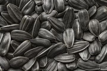 Poster Sunflower seeds, black, unpeeled, in bulk, close-up, uniform texture background . © elenvd