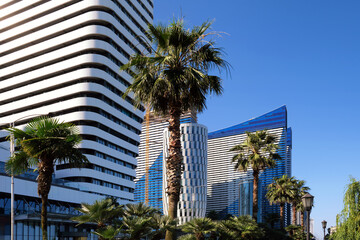 Modern office and residential buildings in the southern city. On the background of tropical palm.