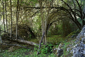 Callejones de las Majadas 