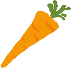 hand holding carrot