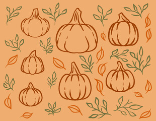 Cute Fall Pumpkin and Leaves Hand Drawn Assets Autumn Elements Vector Set 