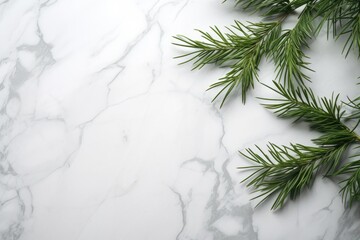 A close up of a pine branch on a marble surface