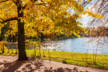 Autumn foliage in Catherine park, Pushkin (Tsarskoe Selo), Saint Petersburg, Russia