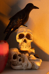 skull and crossbones