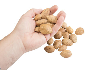 a pile of almonds