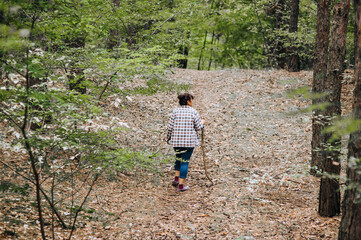 An adult elderly woman, a pensioner, a mushroom picker, walks with a stick through the forest, doing tourism.