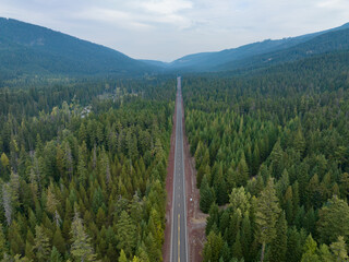 A lonely road leads through a seemingly endless forest in the Pacific Northwest.