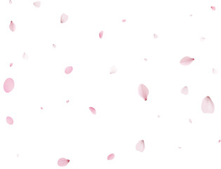 Realistic Sakura Petals.