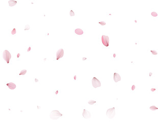 Realistic Sakura Petals. © writerfantast