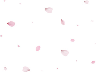 Realistic Sakura Petals.