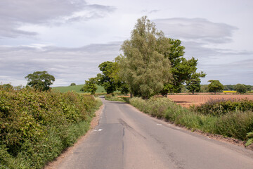 Summertime lane.